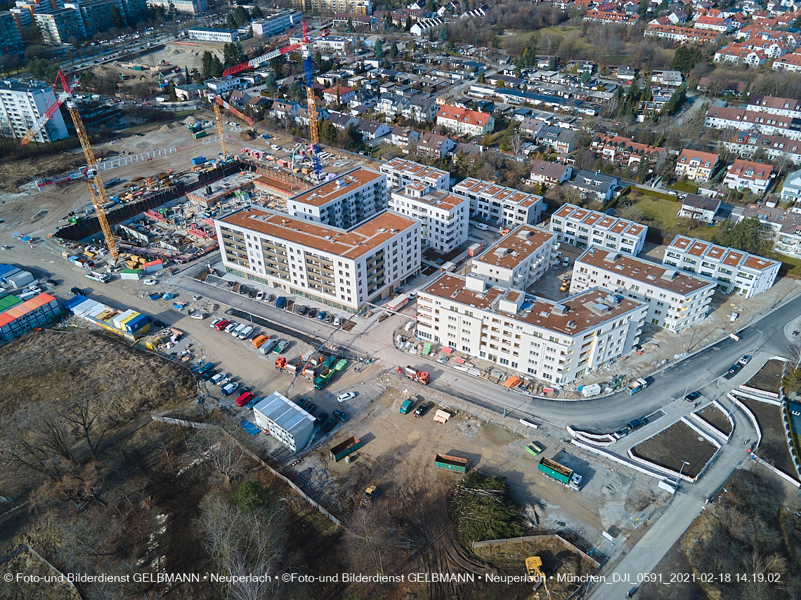 18.02.2021 - Alexisquartier und Pandionverde 18.02.2021 - Alexisquartier und Pandionverde