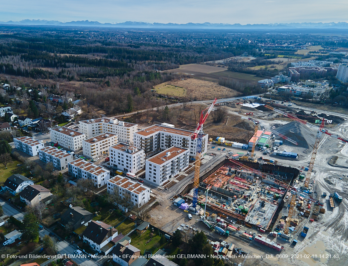 18.02.2021 - Alexisquartier und Pandionverde 18.02.2021 - Alexisquartier und Pandionverde