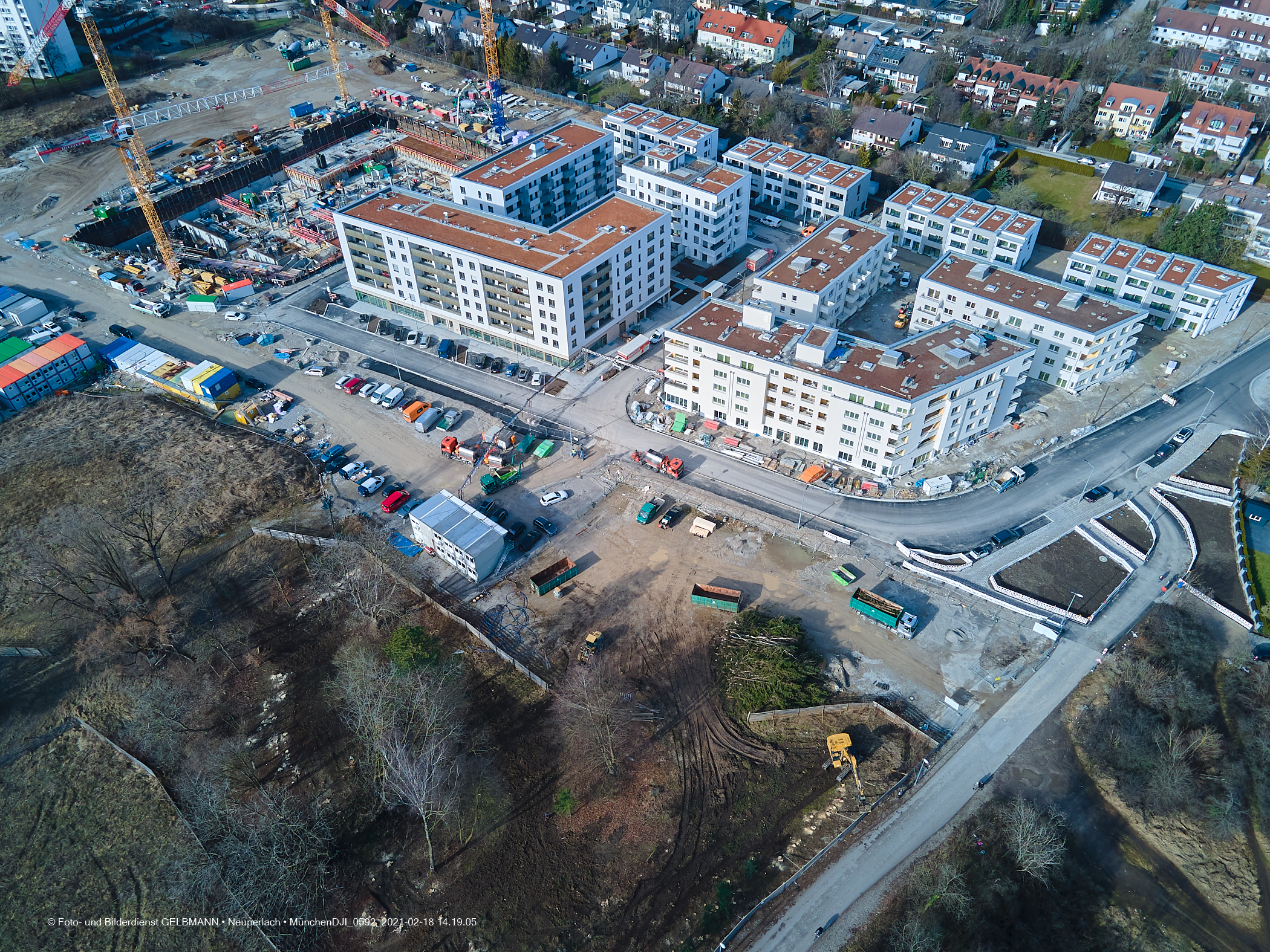 18.02.2021 - Baumfällung im Alexisquartier, dem ehemaligen Piederstorfer-Gelände in Neuperlach 18.02.2021 - Baumfällung im Alexisquartier, dem ehemaligen Piederstorfer-Gelände in Neuperlach