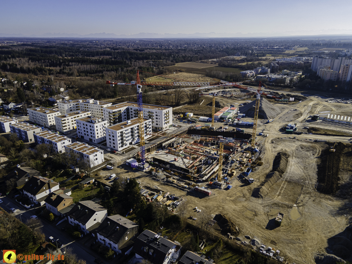 01.03.2021 - Alexiquartier und Pandion Verdie 01.03.2021 - Alexiquartier und Pandion Verdie