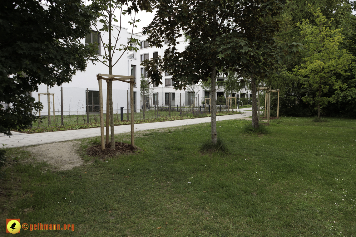 15.06.2024 - Baustelle Pandion Verde und Alexisquartier 15.06.2024 - Baustelle Pandion Verde und Alexisquartier