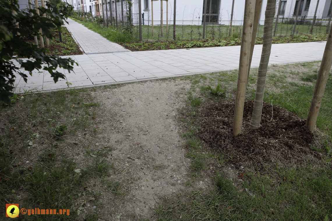 15.06.2024 - Baustelle Pandion Verde und Alexisquartier 15.06.2024 - Baustelle Pandion Verde und Alexisquartier