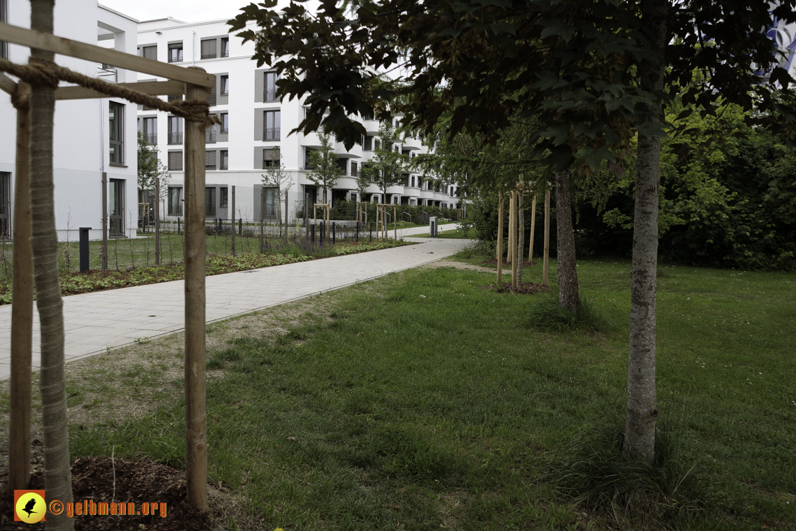 15.06.2024 - Baustelle Pandion Verde und Alexisquartier 15.06.2024 - Baustelle Pandion Verde und Alexisquartier