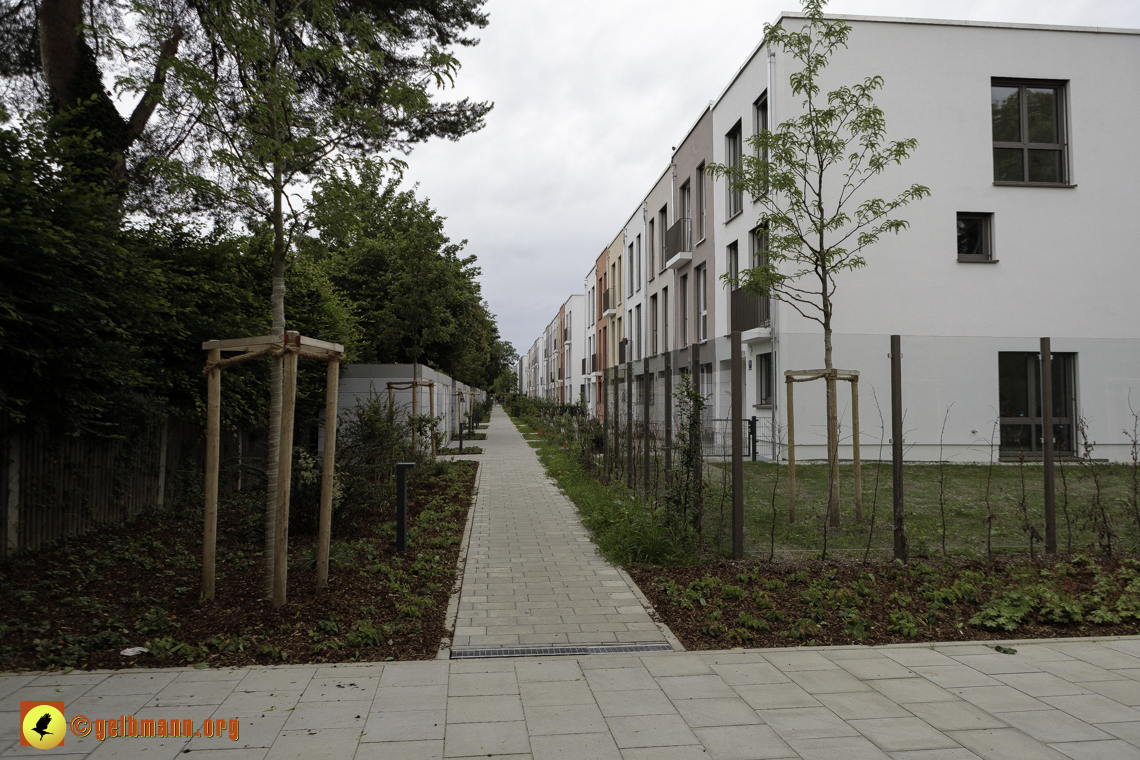 15.06.2024 - Baustelle Pandion Verde und Alexisquartier 15.06.2024 - Baustelle Pandion Verde und Alexisquartier