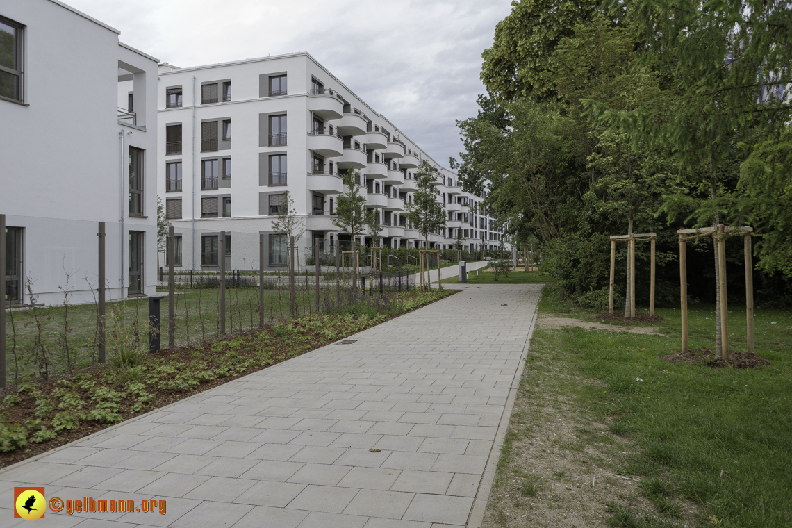 15.06.2024 - Baustelle Pandion Verde und Alexisquartier 15.06.2024 - Baustelle Pandion Verde und Alexisquartier