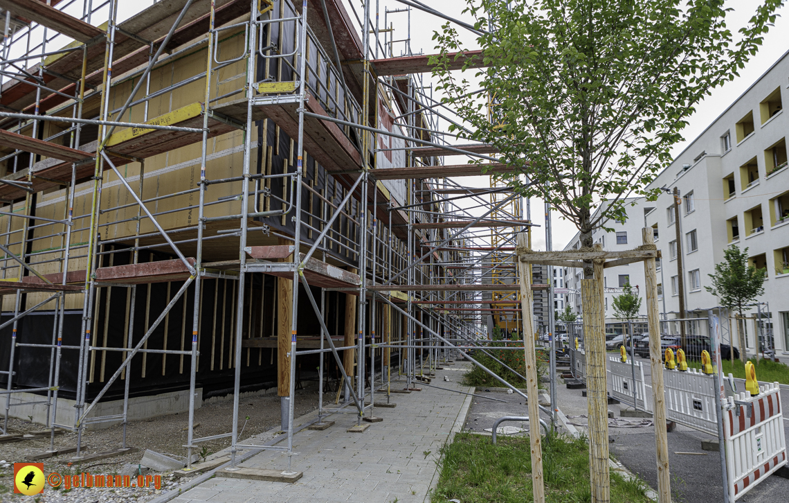 15.06.2024 - Baustelle Pandion Verde und Alexisquartier 15.06.2024 - Baustelle Pandion Verde und Alexisquartier