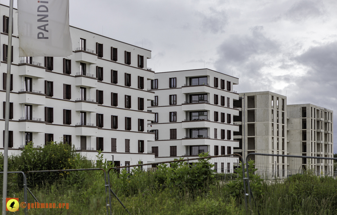 15.06.2024 - Baustelle Pandion Verde und Alexisquartier 15.06.2024 - Baustelle Pandion Verde und Alexisquartier