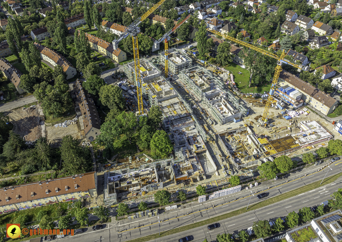 15.07.2024 - Maikäfersiedlung in Berg am Laim