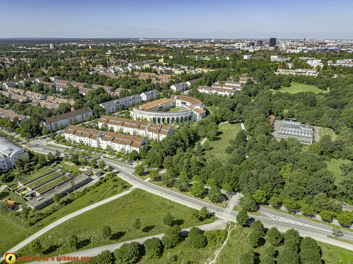 14.08.2024 - Hachinger Bach in berg am Laim