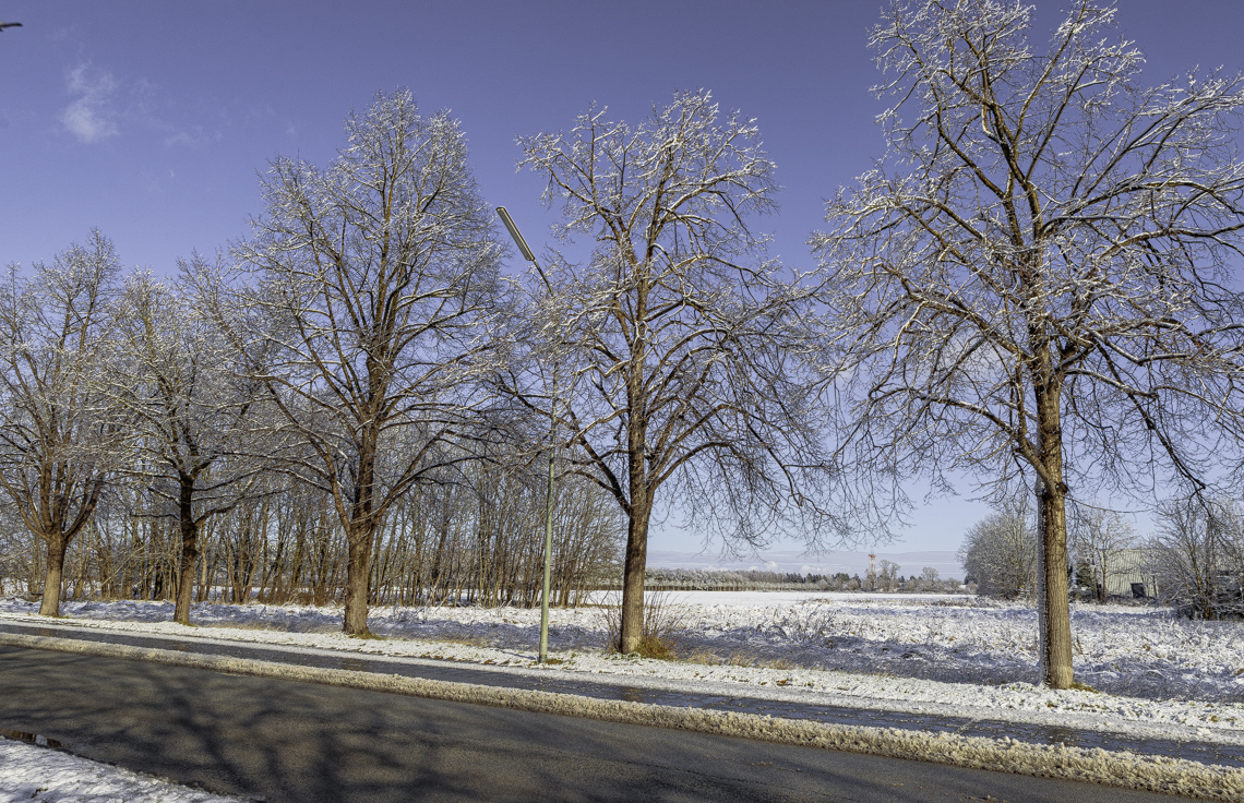 03.01.2025 - Riem-Gronsdorf-Demos-Baustelle 03.01.2025 - Riem-Gronsdorf-Demos-Baustelle
