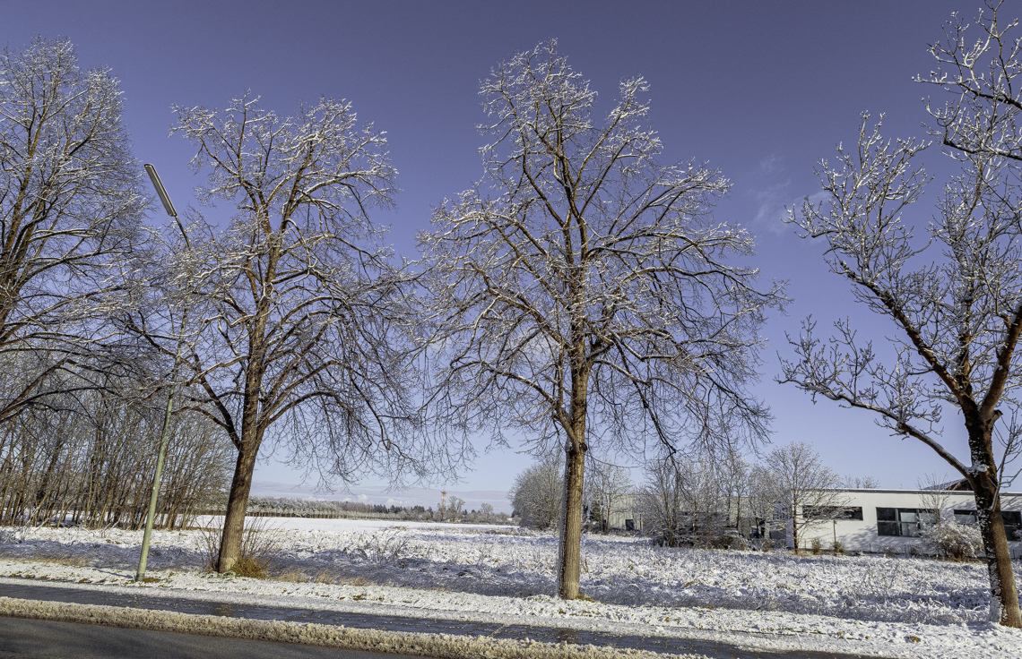 03.01.2025 - Riem-Gronsdorf-Demos-Baustelle 03.01.2025 - Riem-Gronsdorf-Demos-Baustelle