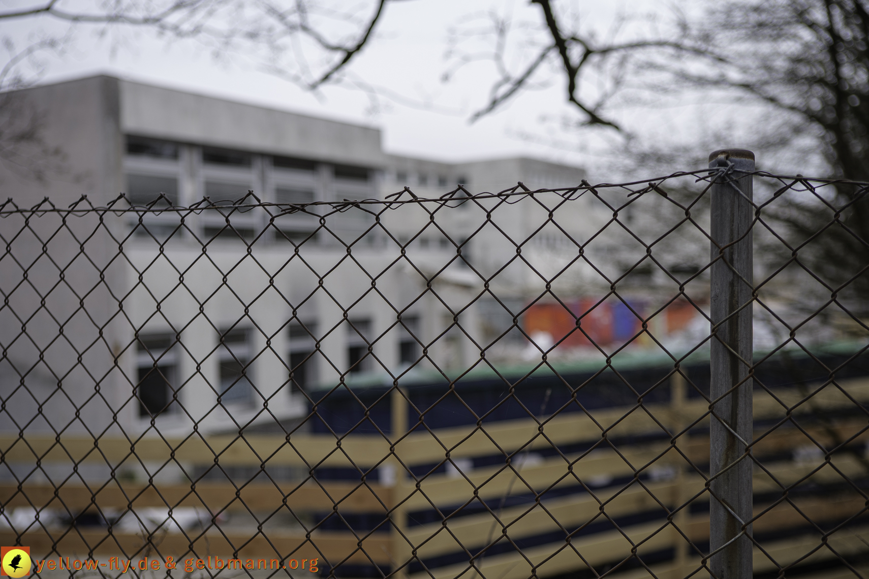 12.03.2025 - Bagger-Abriss der Grundschule am Karl-Marx-Ring in Neuperlach