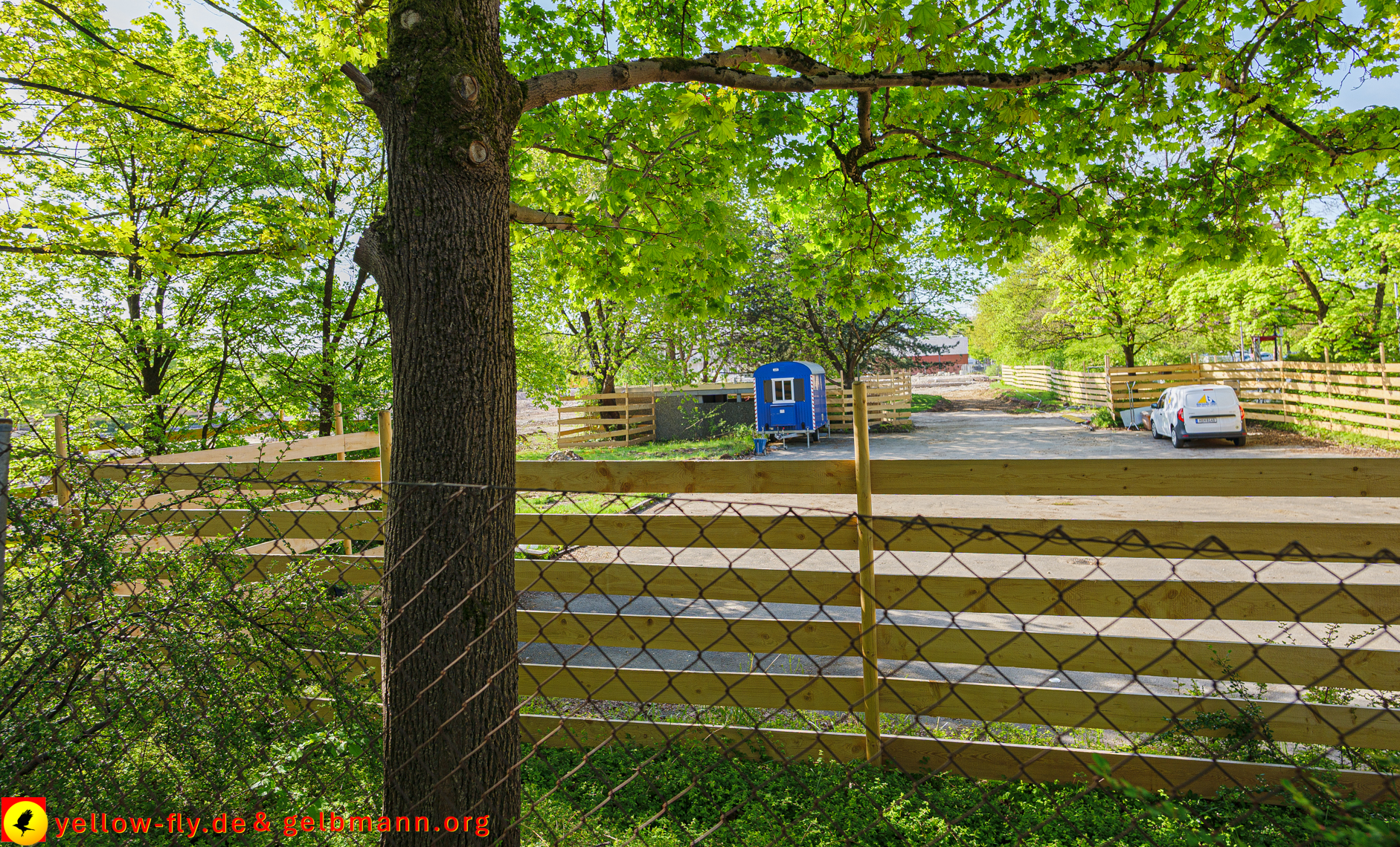 28.04.2025 - Abriss der Grundschule am Karl-Marx-Ring