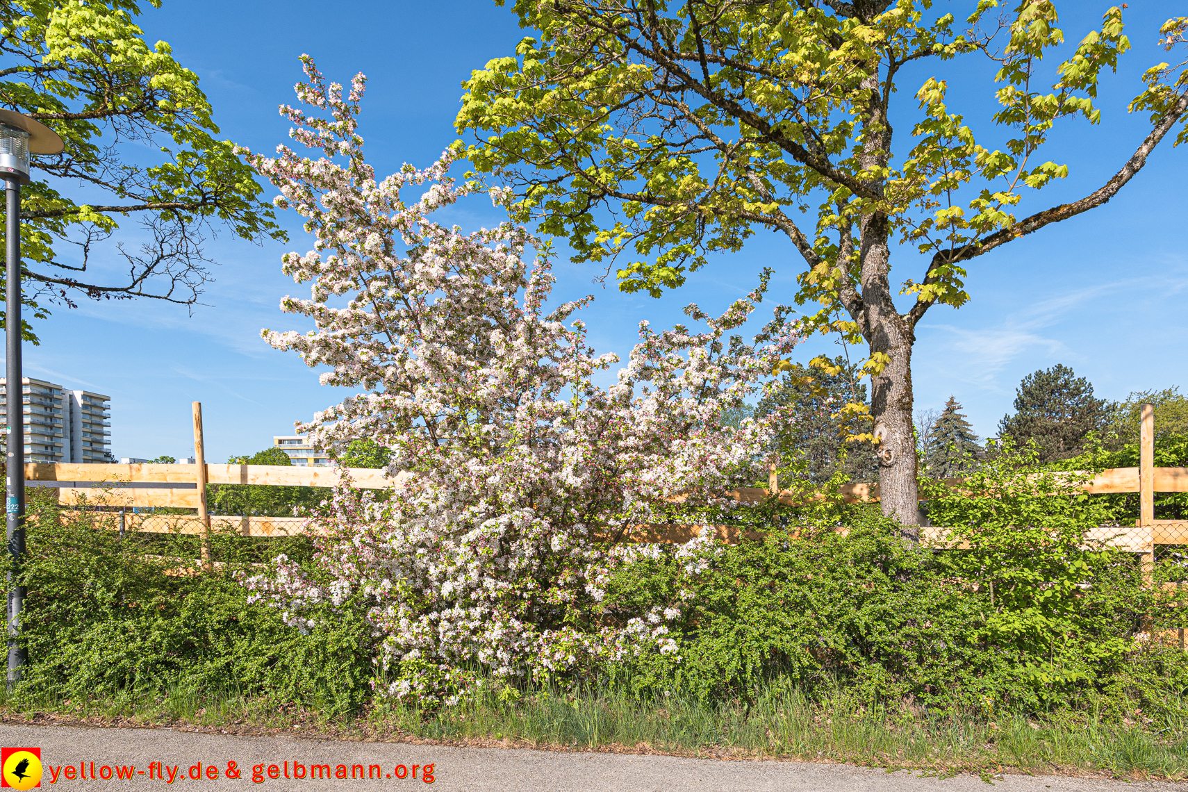 28.04.2025 - Abriss der Grundschule am Karl-Marx-Ring