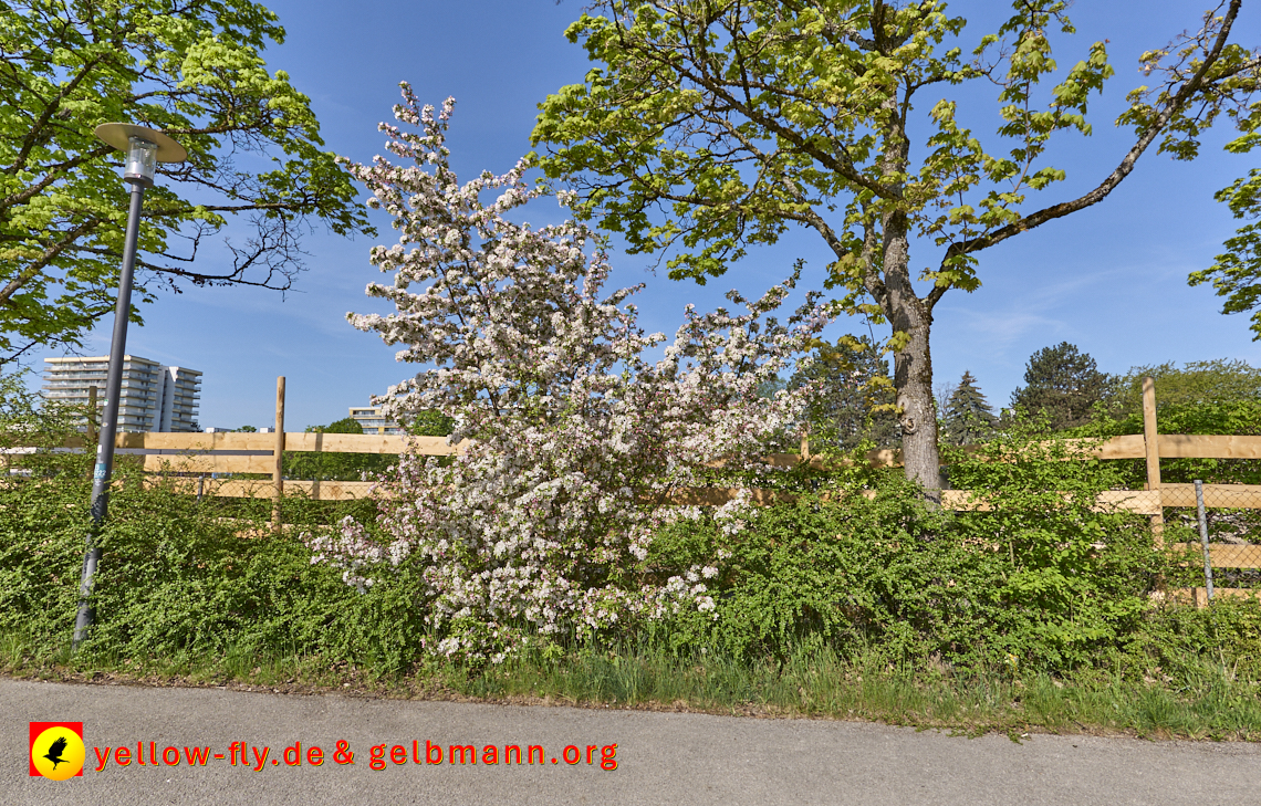 28.04.2025 - Grundschule am Karl-Marx-Ring in Neuperlach