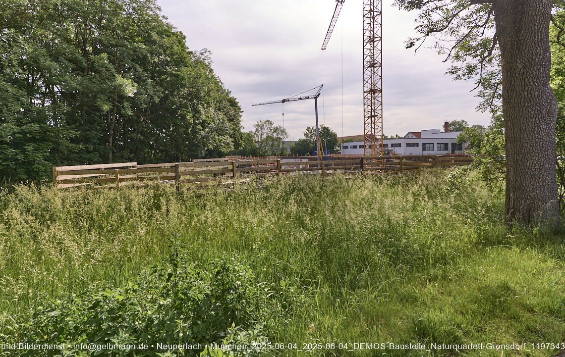 DEMOS-BAUSTELLE-Gronsdorf DEMOS-BAUSTELLE-Gronsdorf