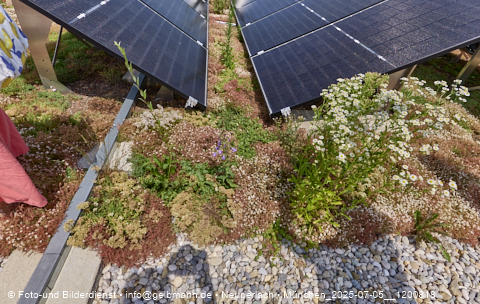 05.07.2025 - Dachbegehung mit der Münchner Wohnen am Karl-Marx-Ring 11-21 in Neuperlach