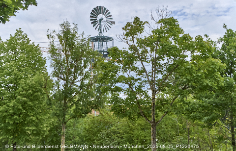 05.08.2025 - DEMOS-Baustelle NaturQuartett in Gronsdorf 05.08.2025 - DEMOS-Baustelle NaturQuartett in Gronsdorf