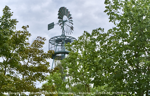 05.08.2025 - DEMOS-Baustelle NaturQuartett in Gronsdorf 05.08.2025 - DEMOS-Baustelle NaturQuartett in Gronsdorf