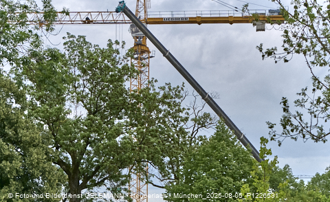 05.08.2025 - DEMOS-Baustelle NaturQuartett in Gronsdorf 05.08.2025 - DEMOS-Baustelle NaturQuartett in Gronsdorf
