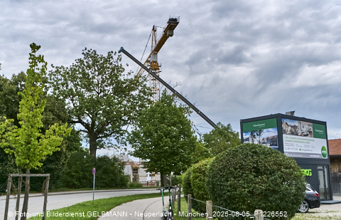 05.08.2025 - DEMOS-Baustelle NaturQuartett in Gronsdorf 05.08.2025 - DEMOS-Baustelle NaturQuartett in Gronsdorf