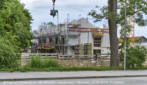 05.08.2025 - DEMOS-Baustelle NaturQuartett in Gronsdorf 05.08.2025 - DEMOS-Baustelle NaturQuartett in Gronsdorf