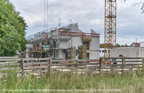 05.08.2025 - DEMOS-Baustelle NaturQuartett in Gronsdorf 05.08.2025 - DEMOS-Baustelle NaturQuartett in Gronsdorf