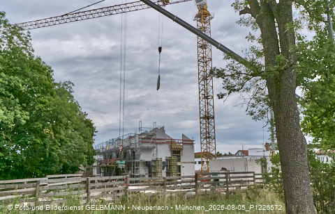 05.08.2025 - DEMOS-Baustelle NaturQuartett in Gronsdorf 05.08.2025 - DEMOS-Baustelle NaturQuartett in Gronsdorf