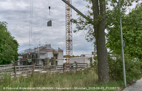 05.08.2025 - DEMOS-Baustelle NaturQuartett in Gronsdorf 05.08.2025 - DEMOS-Baustelle NaturQuartett in Gronsdorf