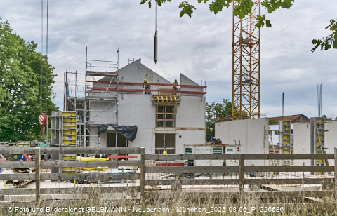 05.08.2025 - DEMOS-Baustelle NaturQuartett in Gronsdorf 05.08.2025 - DEMOS-Baustelle NaturQuartett in Gronsdorf