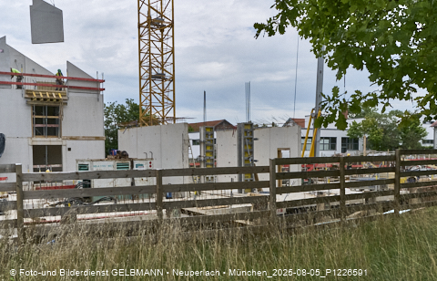 05.08.2025 - DEMOS-Baustelle NaturQuartett in Gronsdorf 05.08.2025 - DEMOS-Baustelle NaturQuartett in Gronsdorf