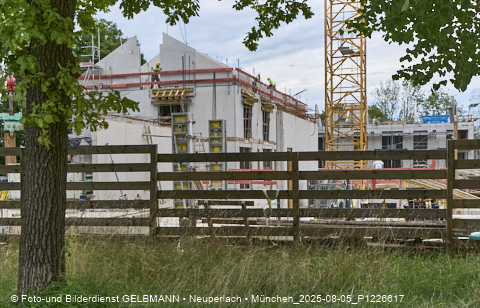 05.08.2025 - DEMOS-Baustelle NaturQuartett in Gronsdorf 05.08.2025 - DEMOS-Baustelle NaturQuartett in Gronsdorf