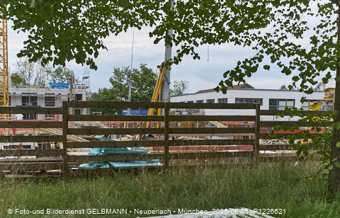 05.08.2025 - DEMOS-Baustelle NaturQuartett in Gronsdorf 05.08.2025 - DEMOS-Baustelle NaturQuartett in Gronsdorf