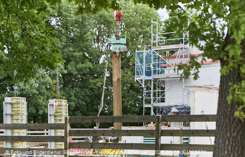 05.08.2025 - DEMOS-Baustelle NaturQuartett in Gronsdorf 05.08.2025 - DEMOS-Baustelle NaturQuartett in Gronsdorf