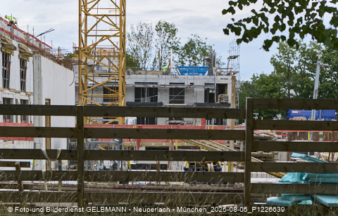 05.08.2025 - DEMOS-Baustelle NaturQuartett in Gronsdorf 05.08.2025 - DEMOS-Baustelle NaturQuartett in Gronsdorf
