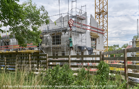 05.08.2025 - DEMOS-Baustelle NaturQuartett in Gronsdorf 05.08.2025 - DEMOS-Baustelle NaturQuartett in Gronsdorf