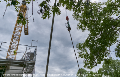 05.08.2025 - DEMOS-Baustelle NaturQuartett in Gronsdorf 05.08.2025 - DEMOS-Baustelle NaturQuartett in Gronsdorf