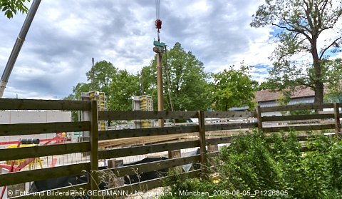 05.08.2025 - DEMOS-Baustelle NaturQuartett in Gronsdorf 05.08.2025 - DEMOS-Baustelle NaturQuartett in Gronsdorf