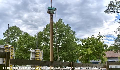 05.08.2025 - DEMOS-Baustelle NaturQuartett in Gronsdorf 05.08.2025 - DEMOS-Baustelle NaturQuartett in Gronsdorf