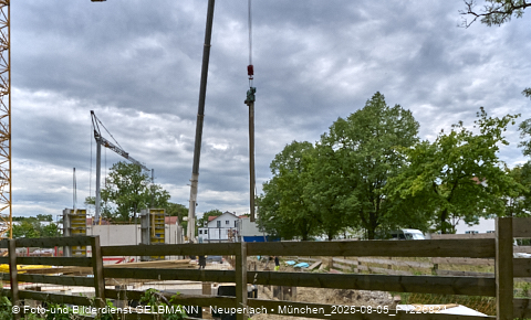 05.08.2025 - DEMOS-Baustelle NaturQuartett in Gronsdorf 05.08.2025 - DEMOS-Baustelle NaturQuartett in Gronsdorf
