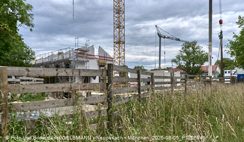 05.08.2025 - DEMOS-Baustelle NaturQuartett in Gronsdorf 05.08.2025 - DEMOS-Baustelle NaturQuartett in Gronsdorf