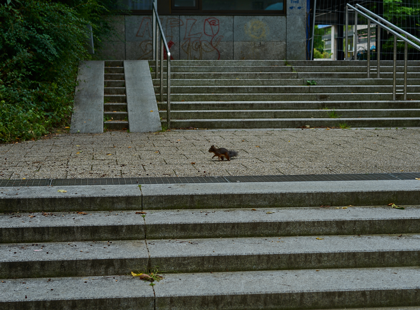 22.09.2019 - Abrissbaustelle Quiddezentrum in Neuperlach